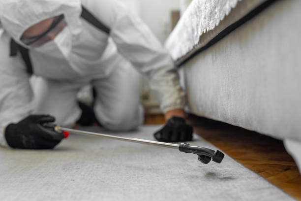 Professional Bed Bug Control technician working in Merlin, OR