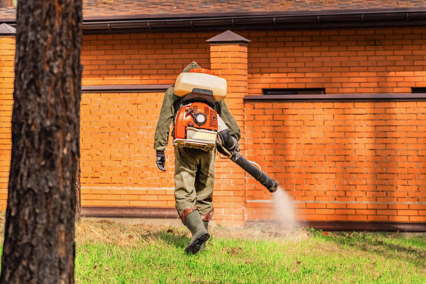 Trusted Termite Control service in Merlin, OR - Nex Pest Control